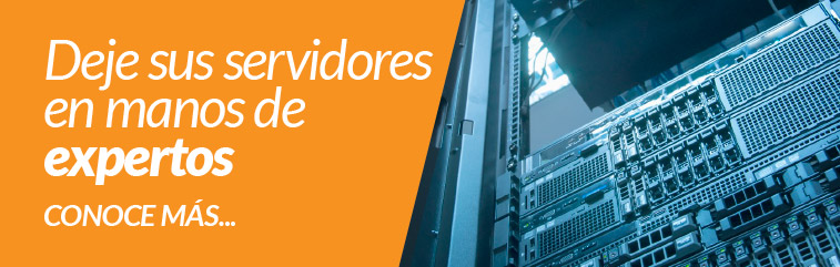 Deje sus servidores en manos de expertos